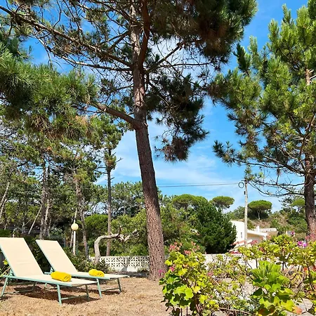 Apartman 1515 - Authentic Near The *